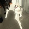 の写真