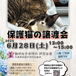 保護猫の譲渡会