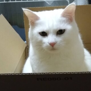 仮名＿空（そら）