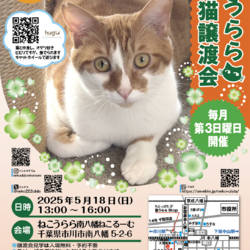ねこうらら 保護猫譲渡会