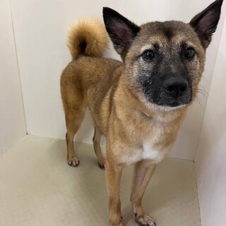 おちゃめな【オメガ】くん