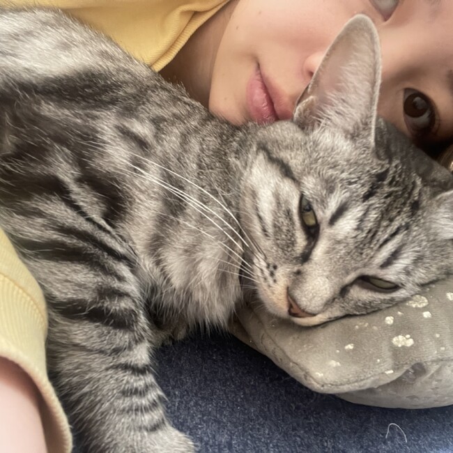 ひろねのカバー写真