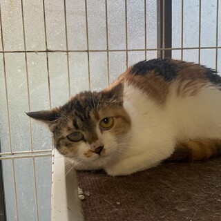 少し臆病、でもあなたの優しさで変わります