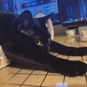 熱くなって来ましたね〜(´-ω-')