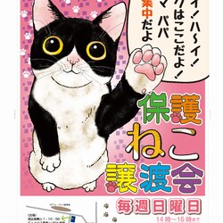保護ねこ譲渡会