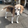 日向ぼっこ大好き サムネイル3