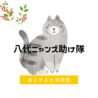 八代ニャンズ助け隊