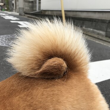花巻尾の巻①　一半左巻～左サイド