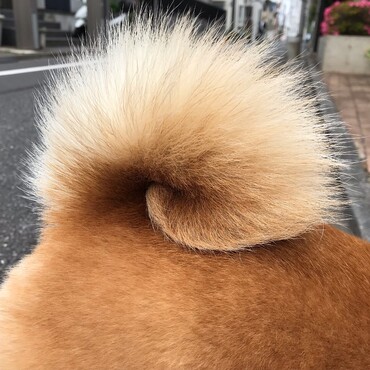 花巻尾の巻②　一半左巻～右サイド