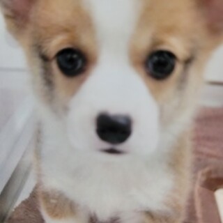 決まりました。ありがとうございました。