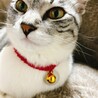 IDタグ、ありがとうございました！