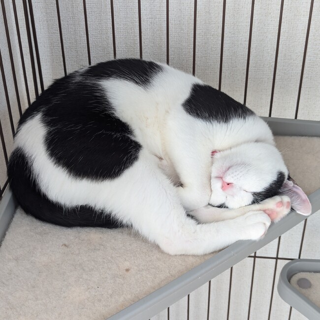 34photoのカバー写真