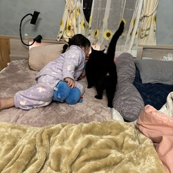 「色々」サムネイル2