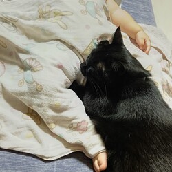 「色々」サムネイル3