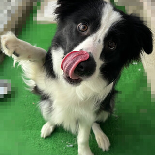 募集多数のため一時停止します。