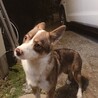 ふじおかひなり