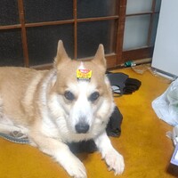 EIN