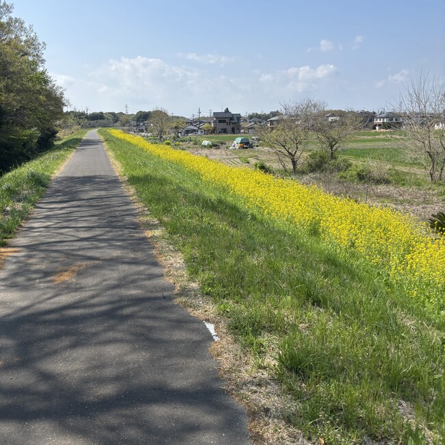 かずきのすけのカバー写真