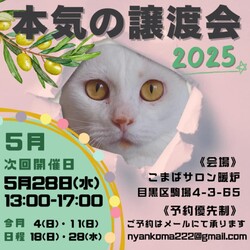 本気の譲渡会