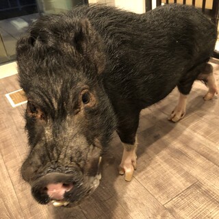 里親募集！よろしくお願いします