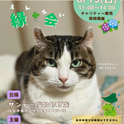 保護猫譲渡会『縁会』〜えんかい〜