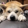 5歳の時に引き取りました