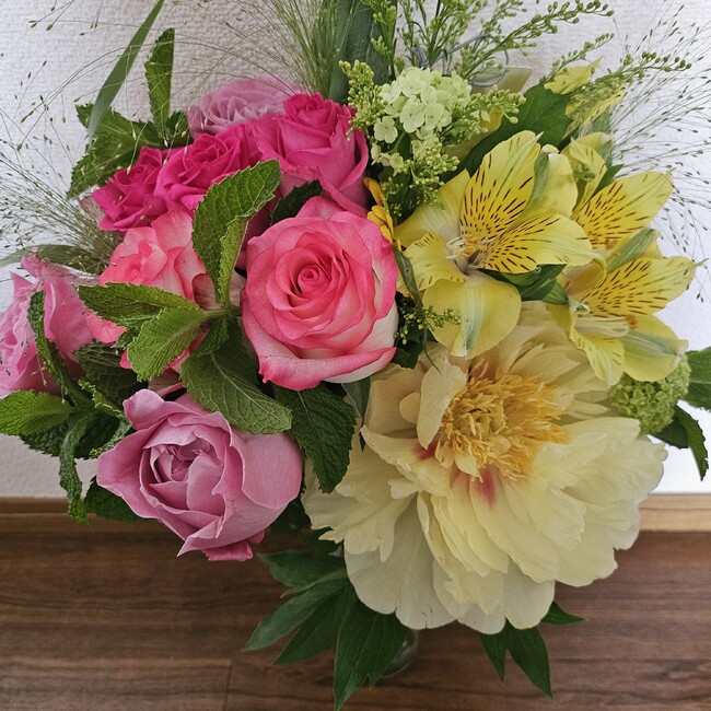 せんぺいのカバー写真