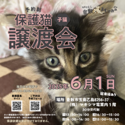 保護猫譲渡会（予約制）
