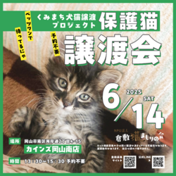 保護猫譲渡会（予約不要）