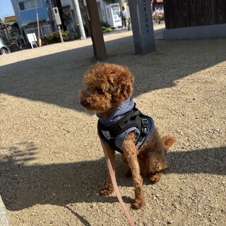 一旦受付け終了してます。