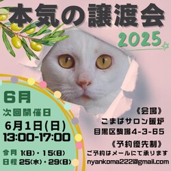 本気の譲渡会