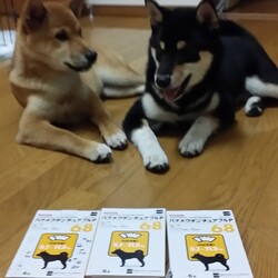 「元気」サムネイル2