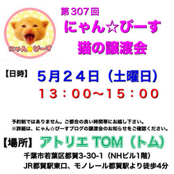 にゃん☆ぴーす猫の譲渡会【都賀･アトリエTOM】