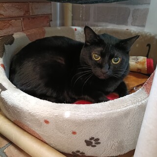 恥ずかしがり屋の梅子ちゃん☆3歳