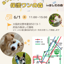 あつまれ！保護わんの森inほしだ園地(定期譲渡会)