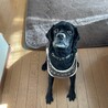 両親の代わりに可愛がってくれる方！お願いします！ サムネイル2