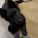 収容期間が切れて危険な状況でした！