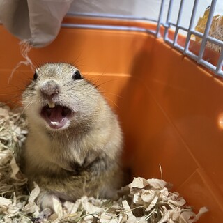 応募多数の為締め切ります