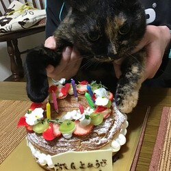 「6歳になりました」サムネイル2