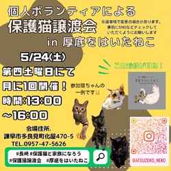 長崎の個人ボランティアによる保護猫譲渡会