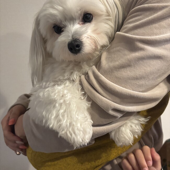 ひいち59のカバー写真
