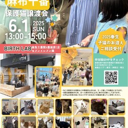 みなとねこ保護猫譲渡会@麻布十番(麻布十番駅徒歩2分)