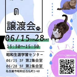 猫の譲渡会　in　名古屋市昭和生涯学習センター