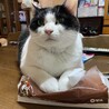 まっさん8888