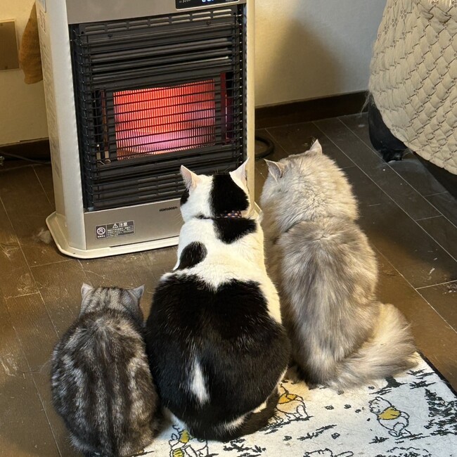 まっさん8888のカバー写真