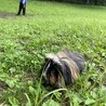 の写真