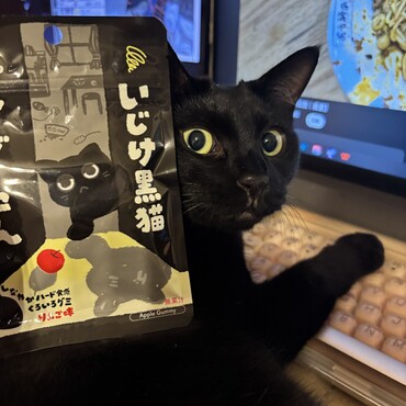 完　全　一　致
