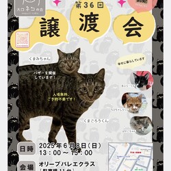 第３６回大口猫の会譲渡会