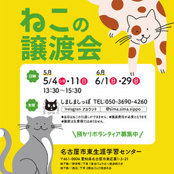 しましましっぽ譲渡会@名古屋市東区