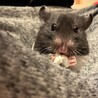 キャンプじょーじ